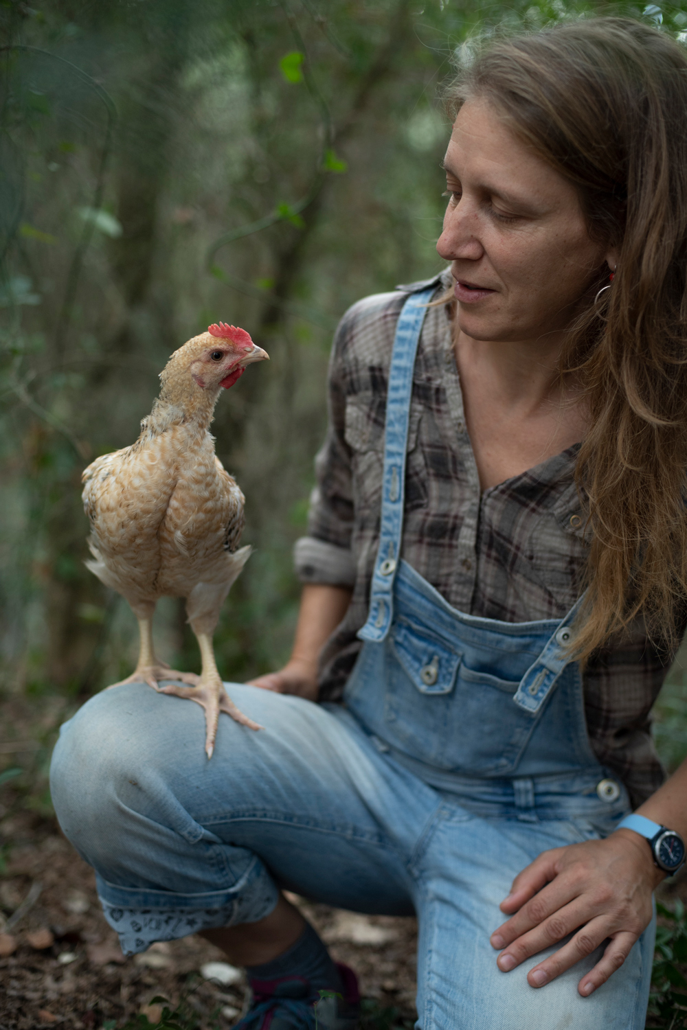 Fotografia de la Núria de Debosc: Agroecologia Conscient amb un pollastre.